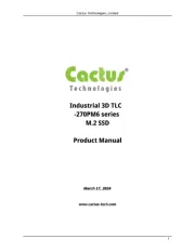 Cactus