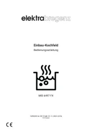 Elektra Bregenz