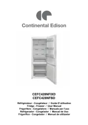 Continental Edison