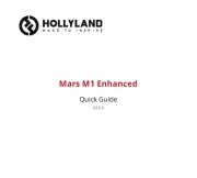Hollyland