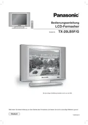 Panasonic