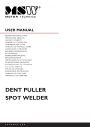 MSW