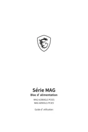 MSI