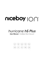Niceboy