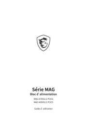 MSI