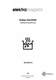 Elektra Bregenz