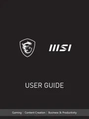 MSI