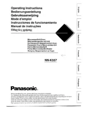 Panasonic