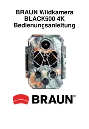 Braun