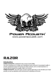 Power Acoustik