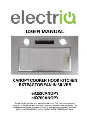 ElectriQ