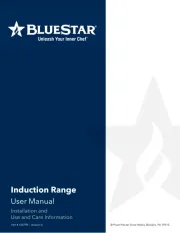 BlueStar