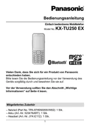 Panasonic