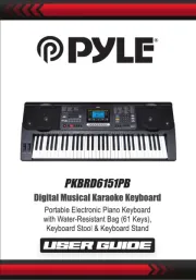 Pyle