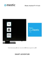 Mestic