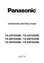 Panasonic