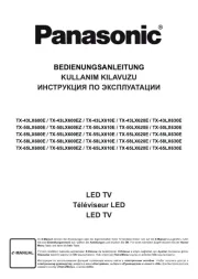 Panasonic