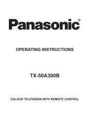 Panasonic