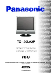 Panasonic