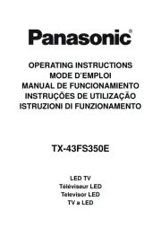 Panasonic