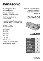 Panasonic