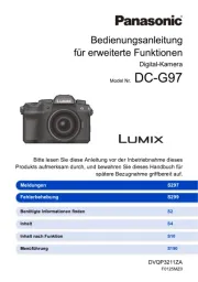 Panasonic
