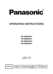 Panasonic