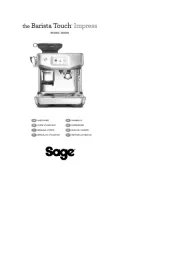 Sage