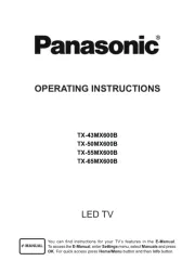 Panasonic