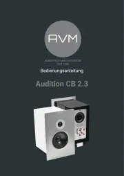 AVM