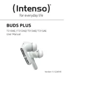 Intenso