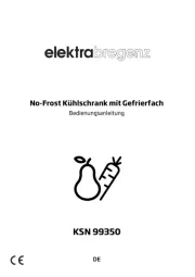 Elektra Bregenz