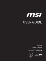 MSI