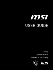 MSI