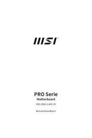 MSI