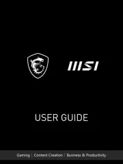 MSI