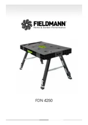 Fieldmann