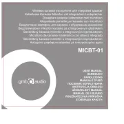 GMB Audio