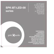 GMB Audio