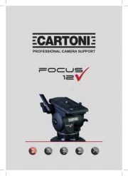 Cartoni