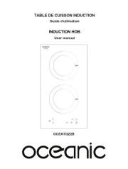Oceanic