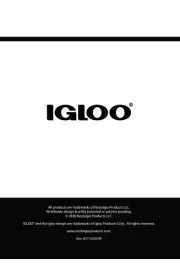 Igloo