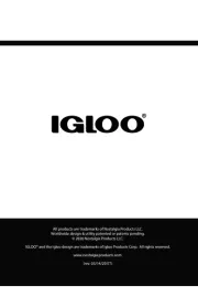 Igloo