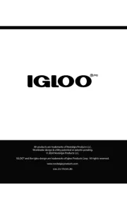 Igloo
