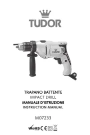 Tudor