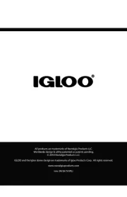 Igloo