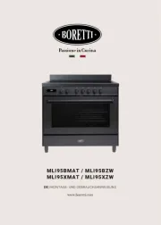 Boretti