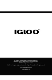 Igloo