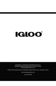 Igloo