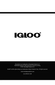 Igloo